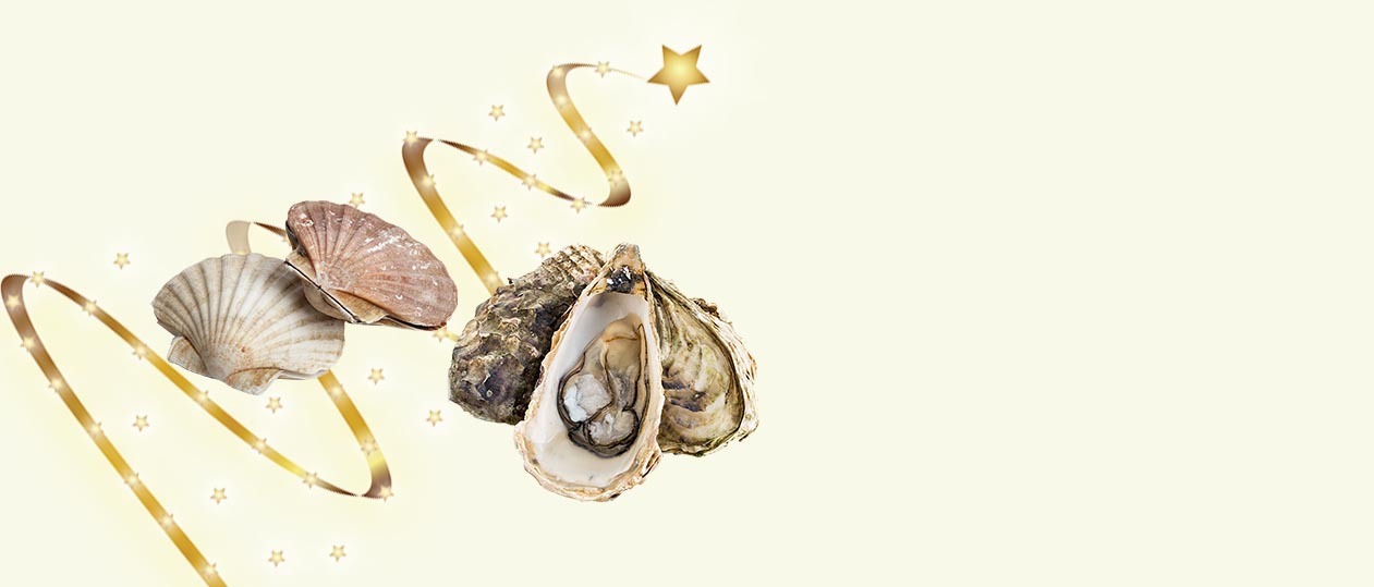 slide_coquillages_2021