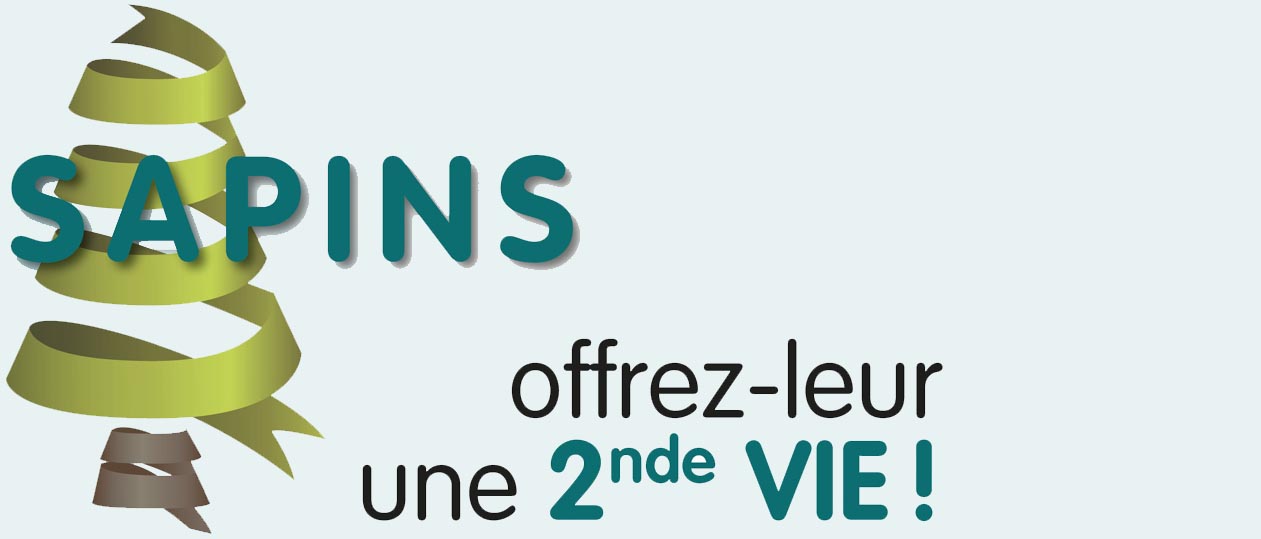 collecte sapins 2019